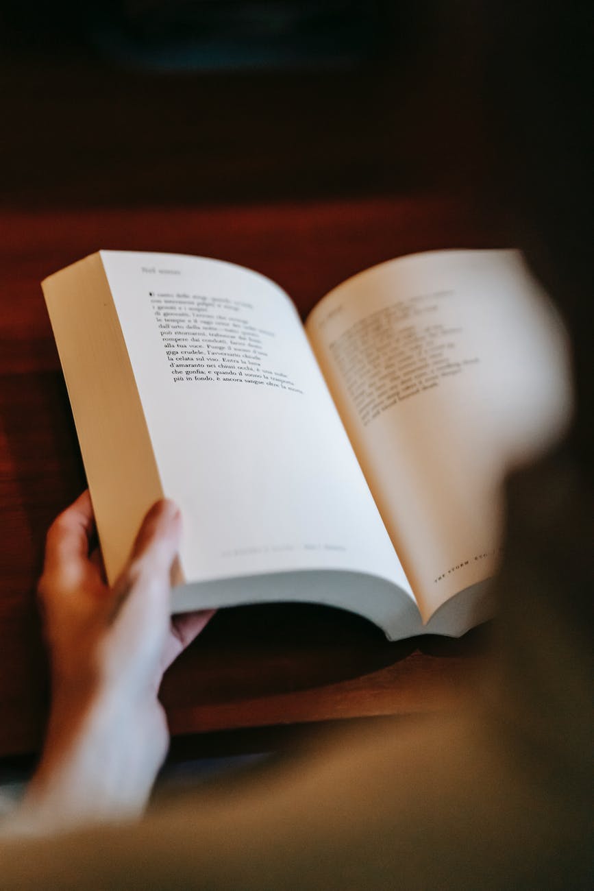 person reading interesting book in hands
