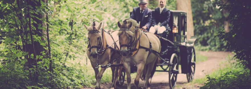 two man on a carriage with horse