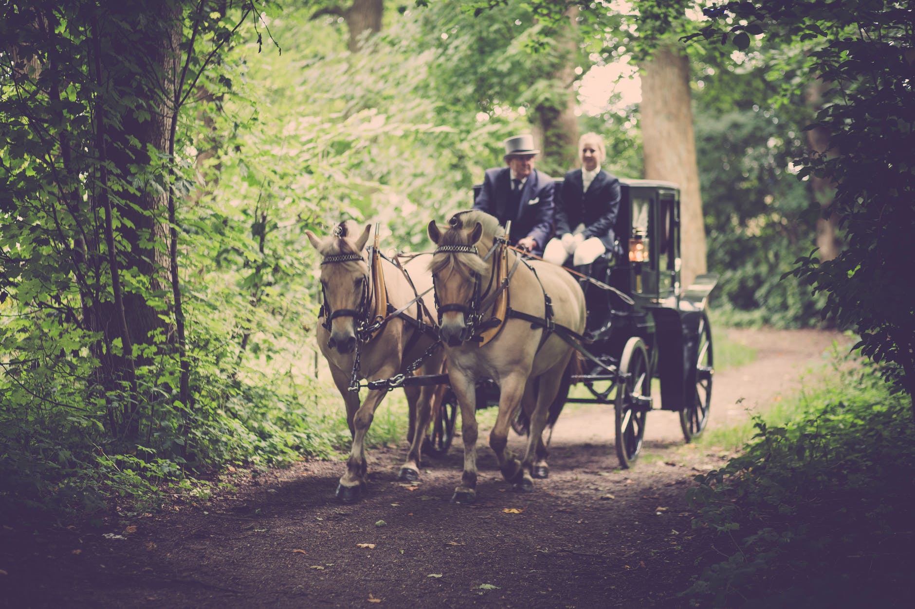 two man on a carriage with horse
