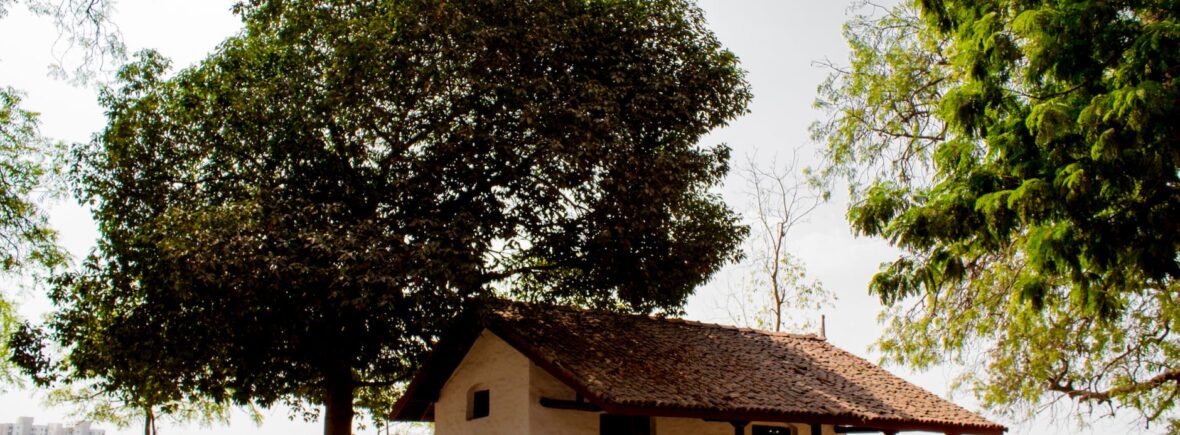 white and brown house under tree